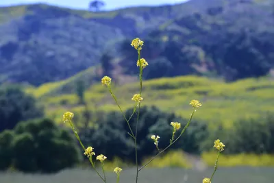 DSC_6107 (Large).JPG